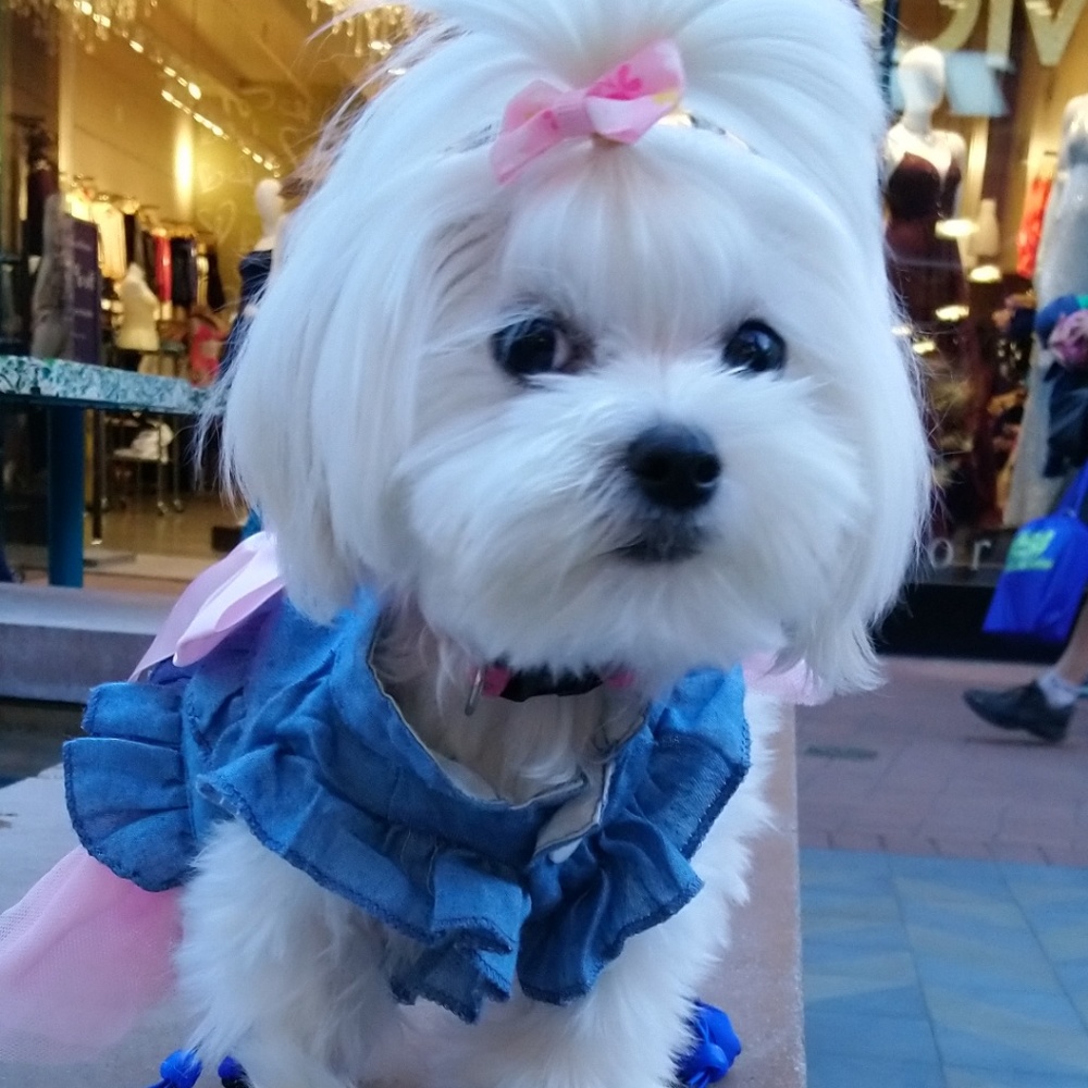 Meet your Posher, Laura